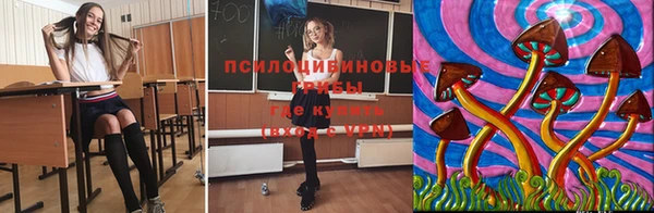герыч Арсеньев