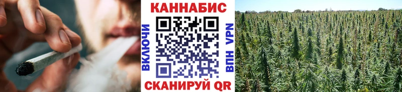 купить  цена  Михайлов  hydra ТОР  Шишки марихуана план 